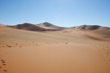 Wüste Namibia - Kalahari