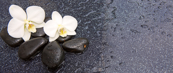 Fototapeta na wymiar Two orchid flowers and stones. Spa background.