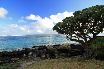 Obraz premium Coast of Mauritius
