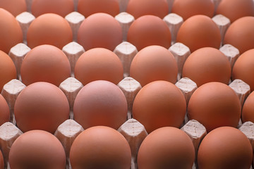 Obraz na płótnie Canvas Raw chicken eggs in the package