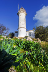 White lighthouse on the shore with plants