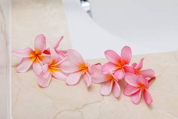 цветы розового жасмина на краю кафельной ванны