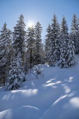 Märchenhafte Winterlandschaft