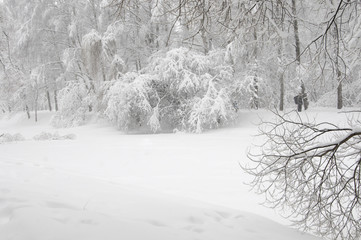 Winter landscape with a pond