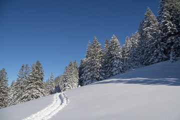 Fototapeta na wymiar Winterwonderland Schneeschuhtour durch frisch verschneiten Bergwald