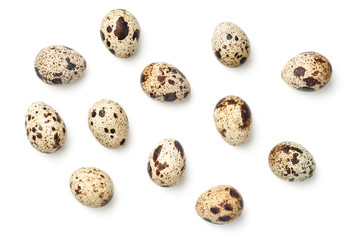 Obraz premium Quail Eggs Isolated on White Background
