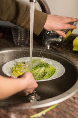 girl hands cleaning lettuce with the water of a kitchen tap, lettuce in a plat