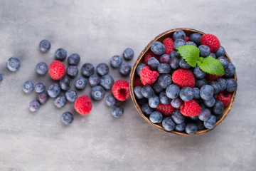 Juicy and fresh blueberries with green mint on rustic gray table.