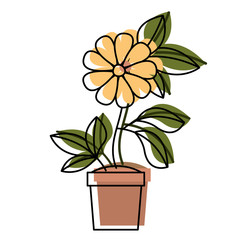 flower in pot floral decoration vector illustration design