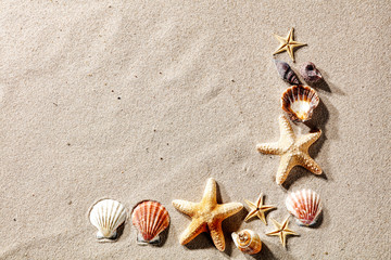 shells on the sand on a beautiful sunny day with room for inscription or advertising product  