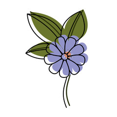 Fototapeta premium flower and leafs floral decoration vector illustration design