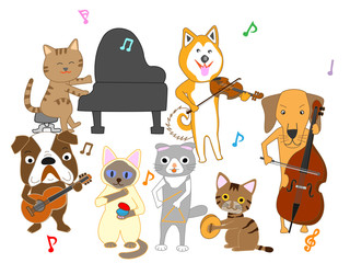 猫と犬のコンサート