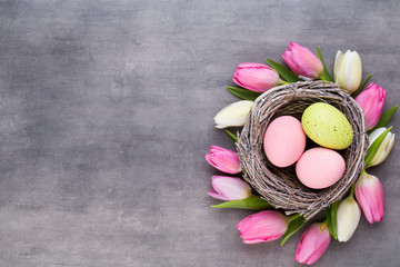 Pink tulip with pink eggs nest on a gray background. Easter greetings card.