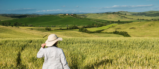 Wheat field