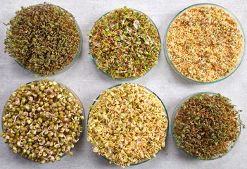 Microgreens, organic food.