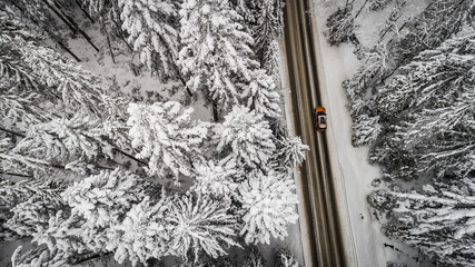 droga w zimie góry © BlackMediaHouse