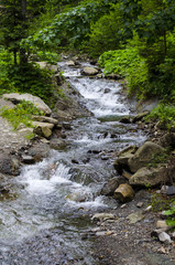 Fototapeta premium small, beautiful waterfall in the Carpathians