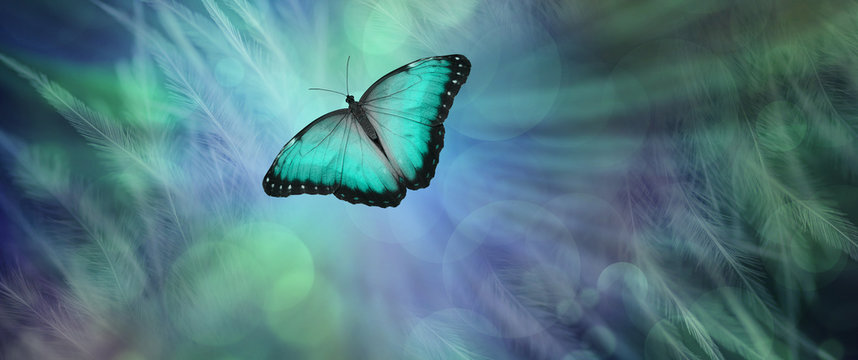 Soul Release Metaphor for departing soul - lone jade green  coloured butterfly set against a radiating feathered bokeh green and blue  coloured background
