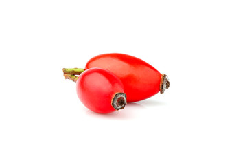 Rose hip berries isolated.