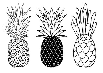 Fototapeta premium Vector set of three pineapple fruit styles summer tropical object collection. Great for travel, party invitation or packaging.
