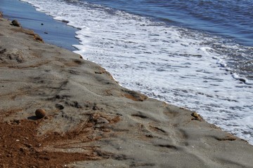 Oceanic Posidonia remains on the shore