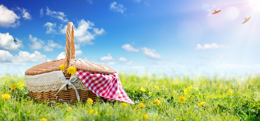 Picnic - Basket On Meadow  