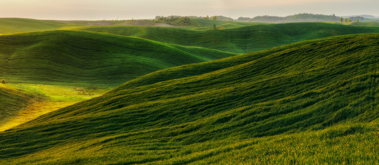 Green field. picturesque hills. beautiful spring field