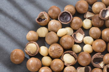 Macadamia nuts - Macadamia integrifolia