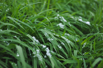 Lawn covered with snow.