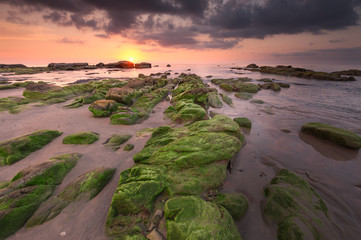 Fototapeta na wymiar sunset seascape with natural coastal rocks covered by green moss.