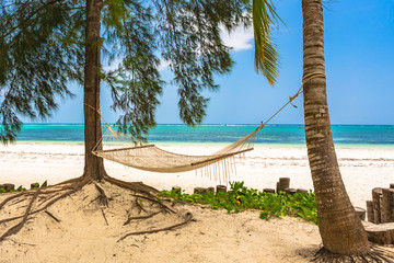 Hammock near beach in Zanzibar, Tanzania.