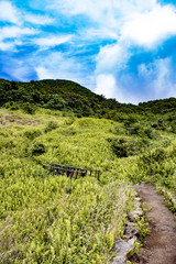 Naklejka premium Dirt Trail and Wooden Bridge Leading through the Fern Covered Side of Mombacho Volcano, Nicaragua