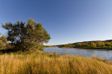 Fototapeta na wymiar Prairie field backdropped by a river