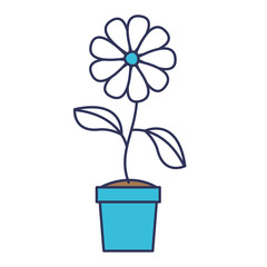 flower in pot floral decoration vector illustration design