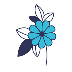 flower and leafs floral decoration vector illustration design