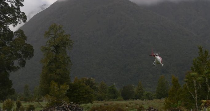New Zealand Helicopter flight Fox Glacier