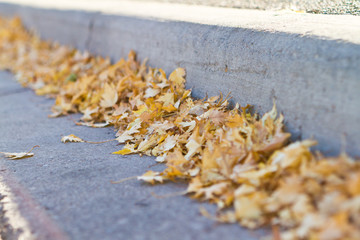 Closeup of autumn leaves in the gutter