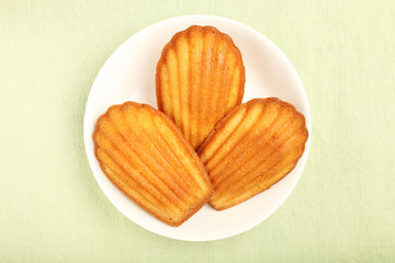 Madeleine on a white plate       