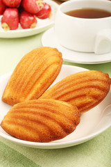 Madeleine cookie and cup of tea.