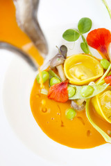Ravioli with vegetables, creative restaurant meal concept, haute couture food
