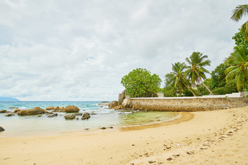 Beautiful beach with rocks and palm tree at Mahe (Near Bay Beau vallon), Seychelles