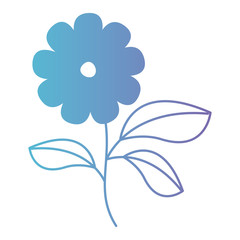 flower and leafs floral decoration vector illustration design