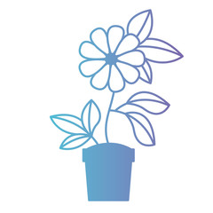 flower in pot floral decoration vector illustration design
