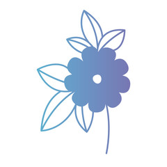 flower and leafs floral decoration vector illustration design