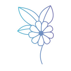 flower and leafs floral decoration vector illustration design