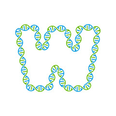 W Dna Letter Logo Icon Design