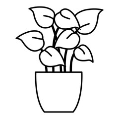 pot with leafs house plant vector illustration design