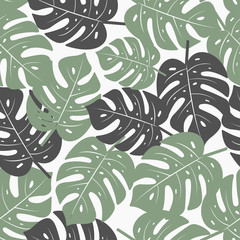 Monstera Leaves Seamless Pattern. Tropical vector texture.