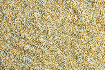 millet grains yellow closeup background