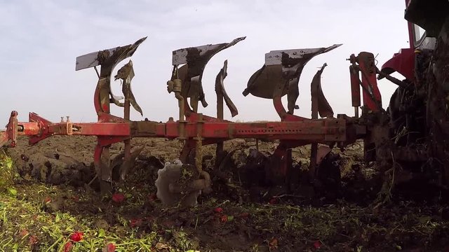 Plowing of pepper field on cloudy fall day. Dolly gimbal video.